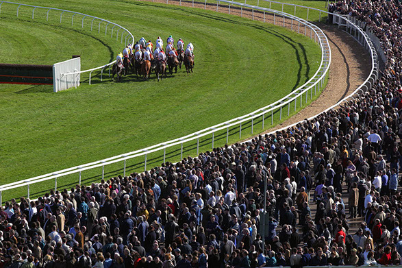 jockey-club-cheltenham-festival